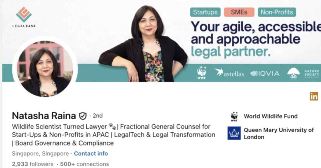 Natasha Raina's LinkedIn profile after, with a branded banner and a story-led headline